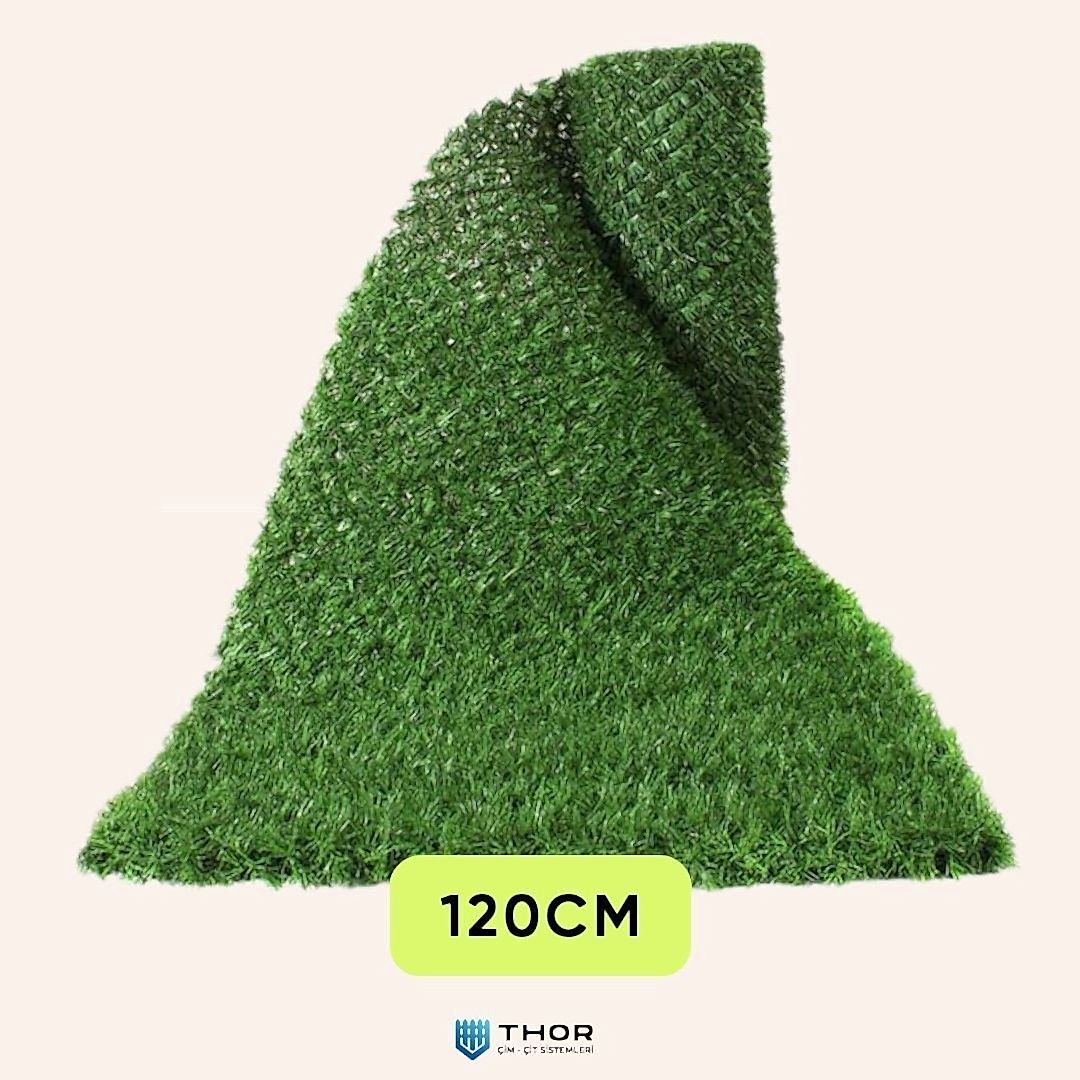120cm Çimçit