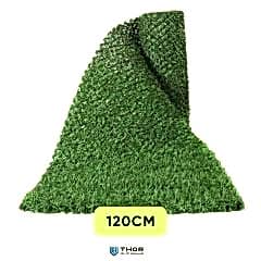 120cm Çimçit
